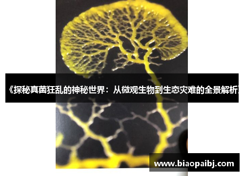 《探秘真菌狂乱的神秘世界：从微观生物到生态灾难的全景解析》